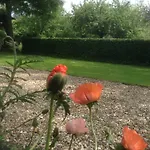 Charmante Petite Maison Dans Le Jardin Prázdninový dům Letteguives