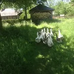 Prázdninový dům Charmante Petite Maison Dans Le Jardin *
