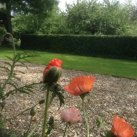 Charmante Petite Maison Dans Le Jardin 別荘 Letteguives