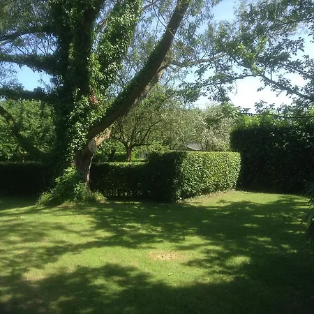 Charmante Petite Maison Dans Le Jardin