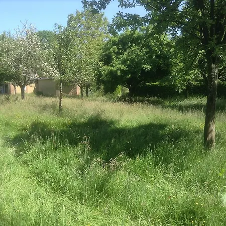 Charmante Petite Maison Dans Le Jardin 別荘 Letteguives